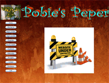 Tablet Screenshot of pobezin.com